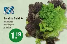 V Markt Salatrio Salat Angebot