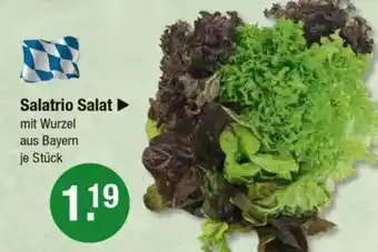V Markt Salatrio Salat Angebot