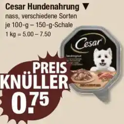 V Markt Cesar Hundenahrung Angebot