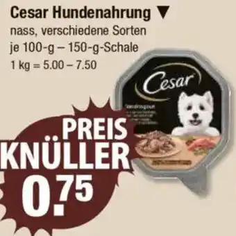 V Markt Cesar Hundenahrung Angebot