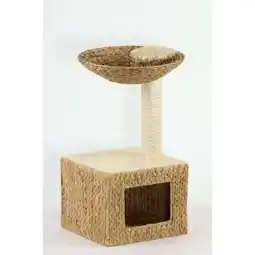 Netto Marken-Discount Silvio Design Kratzbaum Wohnboy Casa Angebot