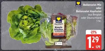 Edeka Ballensalat Mix oder Ballensalat Kopfsalat Angebot