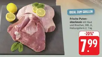 Edeka Frische Putenoberkeule Angebot