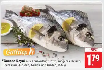 Edeka Dorade Royal Angebot