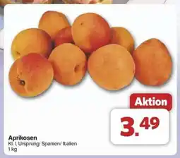 Famila Nord Ost Aprikosen Angebot
