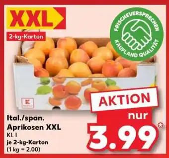 Kaufland Ital./span. Aprikosen XXL Angebot