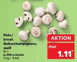 Kaufland Poln./ kroat. Kulturchampignons, weiß Angebot