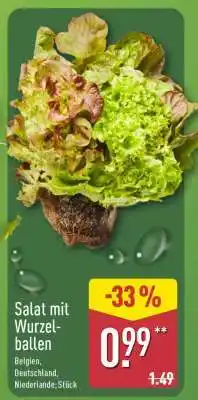 Aldi Nord Salat mit Wurzelballen Angebot