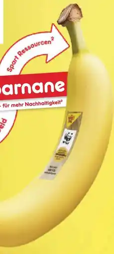 Netto Marken-Discount MarktTag Bananen Angebot