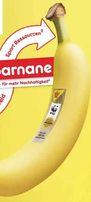 Netto Marken-Discount MarktTag Bananen Angebot