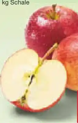 Netto Marken-Discount Rote Äpfel Angebot