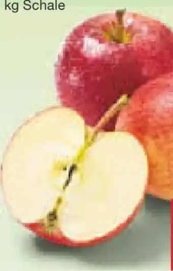 Netto Marken-Discount Rote Äpfel Angebot
