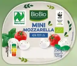 Netto Marken-Discount BioBio Bio-Mozzarella Minis Angebot