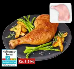 PENNY Puten Schenkel Angebot