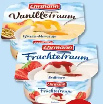 PENNY Ehrmann Früchtetraum Angebot