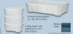 Lidl W5 Aufbewahrungsbox Angebot