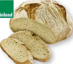Scheck-in-Center Scheck-in Bäckerei Bio Dinkelbrot Angebot