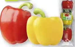 Scheck-in-Center Edeka Bio Bio-Paprika-Mix Angebot