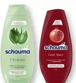 Scheck-in-Center Schwarzkopf Schauma Shampoo Angebot