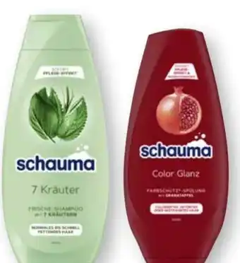 Scheck-in-Center Schwarzkopf Schauma Shampoo Angebot
