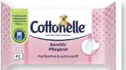 Scheck-in-Center Cottonelle Feuchtes Toilettenpapier Angebot