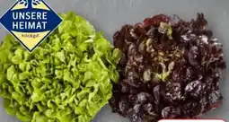 Edeka Unsere Heimat Echt & Gut Kraussalat Angebot