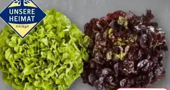 Edeka Unsere Heimat Echt & Gut Kraussalat Angebot