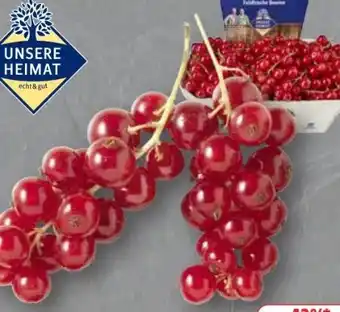 Edeka Unsere Heimat echt & gut Johannisbeeren Angebot