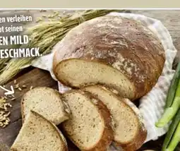 Edeka Edeka Bäckerei Gassenhauer Angebot