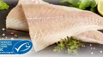 Edeka Seelachsfilet Angebot