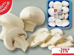 Edeka Gut & Günstig Frische Champignons Angebot