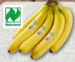 nahkauf Rewe Bio Bio-Bananen Angebot