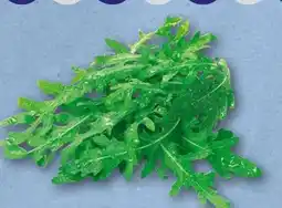 nahkauf Rucola Angebot