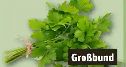 REWE Center Glatte Petersilie Angebot