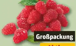 REWE Center Himbeeren Angebot