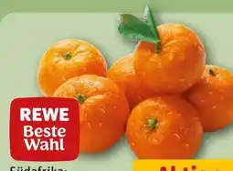 REWE Center Rewe Beste Wahl Clementinen Angebot