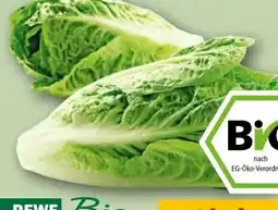 REWE Center Rewe Bio Romana Salatherzen Angebot
