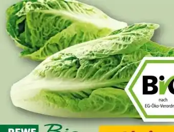 REWE Center Rewe Bio Romana Salatherzen Angebot