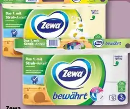 REWE Center Zewa Toilettenpapier Bewährt Angebot