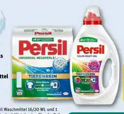 REWE Center Persil Universal Megaperls Angebot