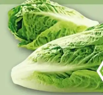 REWE Rewe Bio Romana Salatherzen Angebot