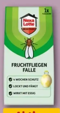 REWE Center Nexa Lotte Fruchtfliegen Falle Angebot