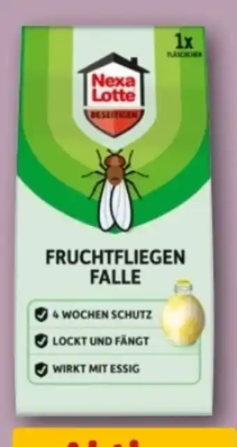 REWE Center Nexa Lotte Fruchtfliegen Falle Angebot