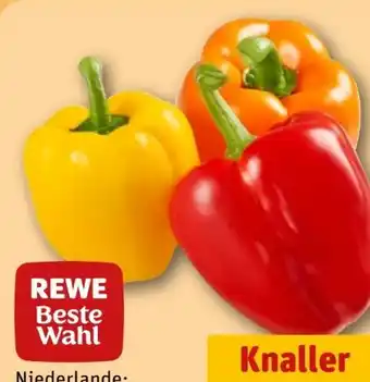 REWE Rewe Beste Wahl Paprika Mix Angebot