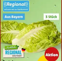 PENNY Marktliebe Regional Romana Salatherzen Angebot
