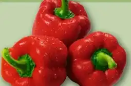 REWE Rote Paprika Angebot