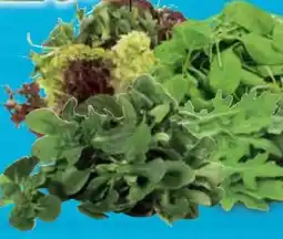 E-Center Edeka Bio Salate Angebot