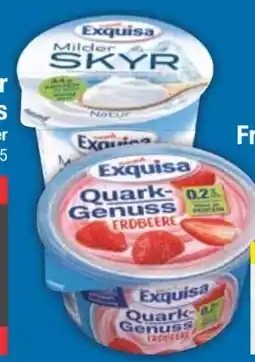E-Center Exquisa Skyr Angebot