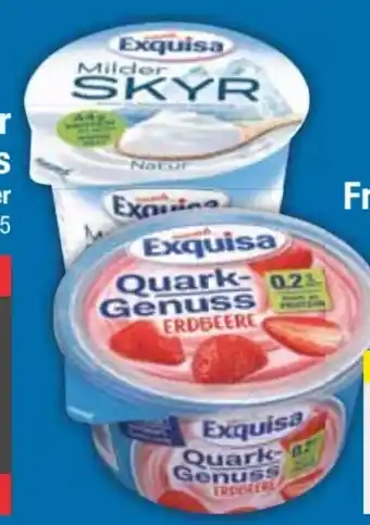 E-Center Exquisa Skyr Angebot