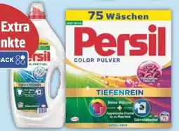 E-Center Persil Waschmittel Pulver Angebot